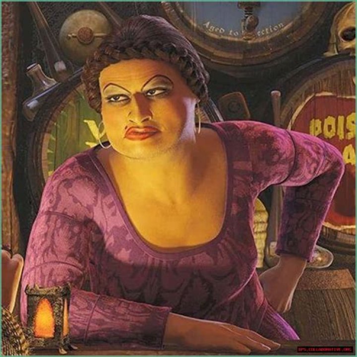 Exploring The Iconic Shrek Female Characters